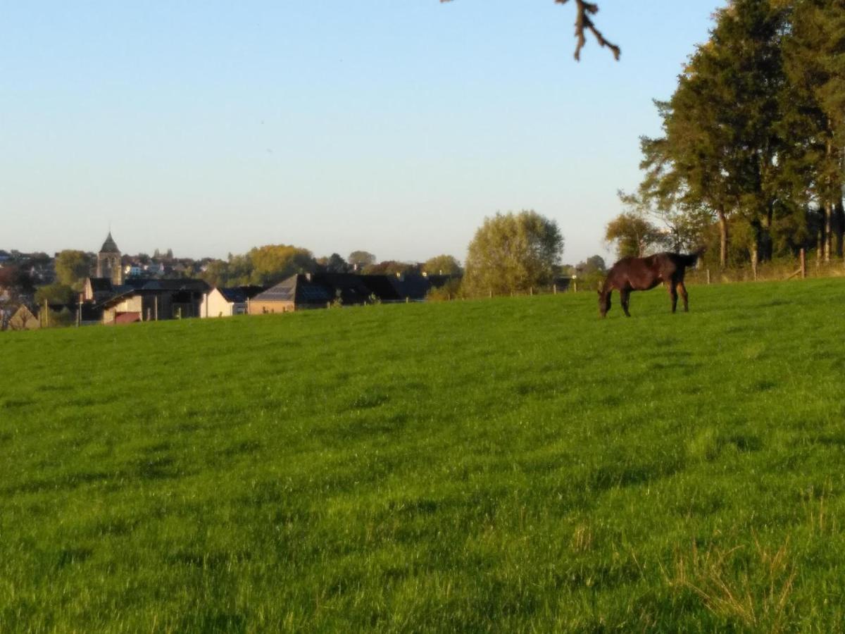 Vakantiewoning Hoge Zavel Brakel Exteriör bild